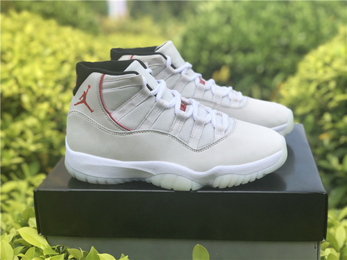 A J 11 _Platinum Tint__ platinum color_ original head layer scrub_ original level_ amber label_ full shipment_ 40.5-48-5c027497
